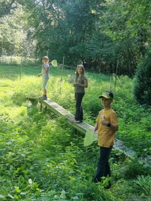 Fotoalbum Umweltbus Wald Klasse 4b