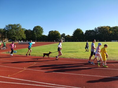 Foto des Albums: RUN HEALTHY Spendenlauf auf dem Sportplatz des TSV Kirchdorf (HAG)... (08. 09. 2023)