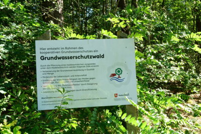 Na denn - wird alles gut  (Bild vergr&ouml;&szlig;ern)