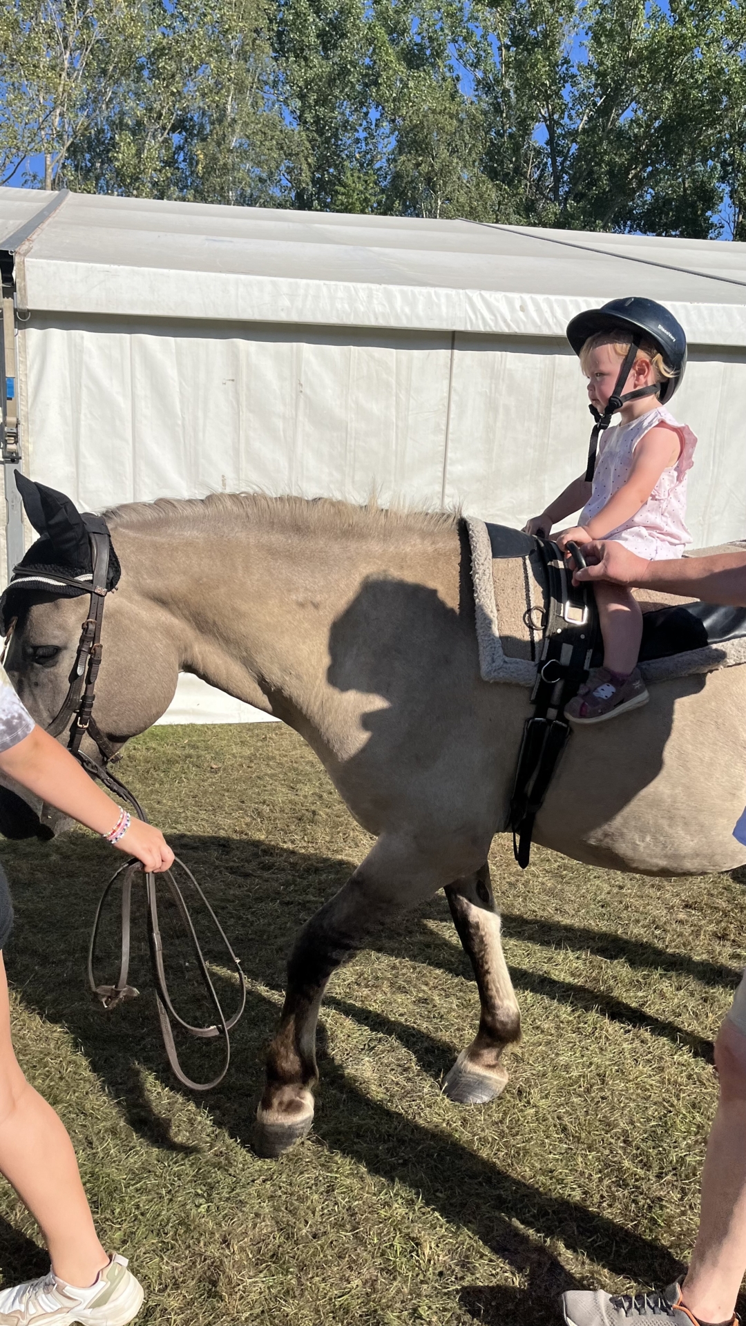 Bild: ... bot Reiten für die Kinder an.