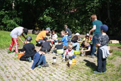 Foto des Albums: Sommerferienprogramm 2023