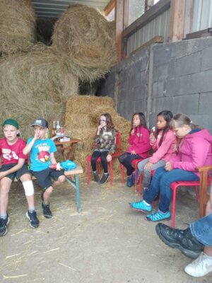 Foto des Albums: Sommerferienprogramm 2023