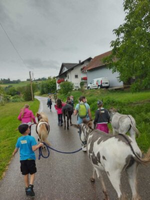 Foto des Albums: Sommerferienprogramm 2023