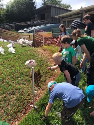 Foto des Albums: Sommerferienprogramm 2023