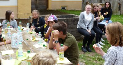 Foto des Albums: Sommerferienprogramm 2023