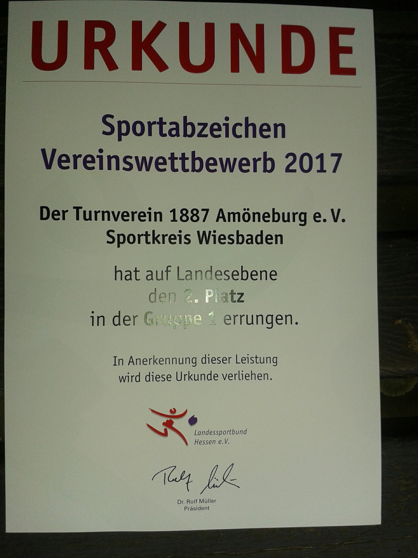 Bild der Galerie