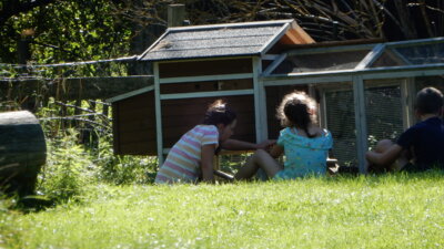 Freizeit auf dem Kinderhof 