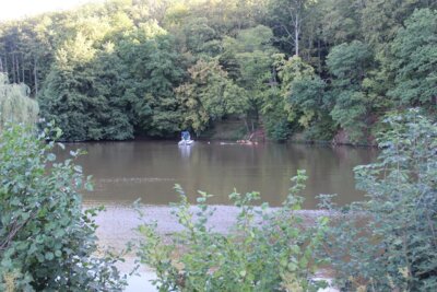 schwimmf&auml;higes Kettenfahrzeug (Truxor) saugt Schlammschicht vom Teichboden und pumpt das Sediment an Land 