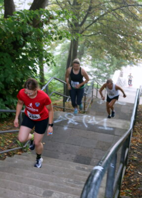 Foto des Albums: 12. Schleswiger Treppenlauf Teil 1