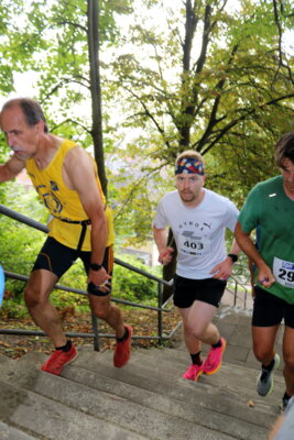 Foto des Albums: 12. Schleswiger Treppenlauf Teil 1
