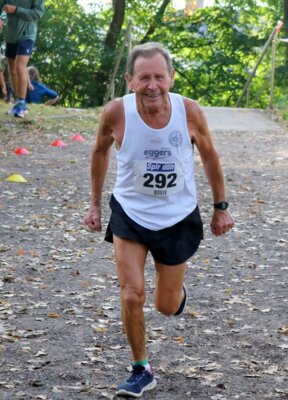 Foto des Albums: 12. Schleswiger Treppenlauf Teil 5