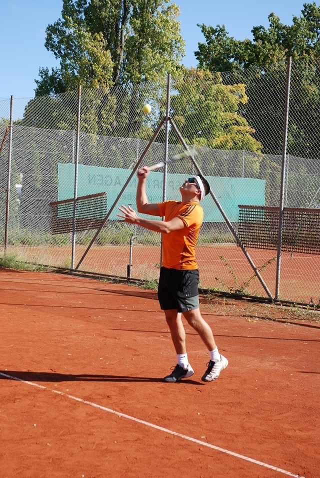 Bild der Galerie