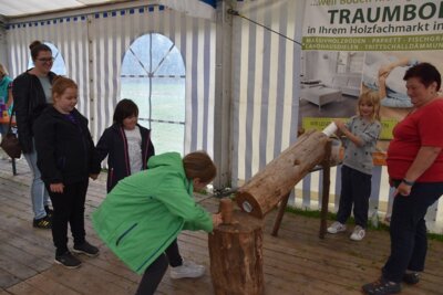 Foto des Albums: Volksfest 2023