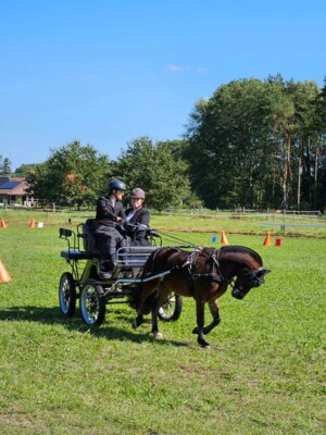 Foto des Albums: Fahrertag 2023