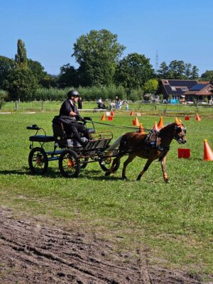 Foto des Albums: Fahrertag 2023