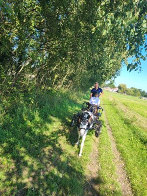 Foto des Albums: Fahrertag 2023