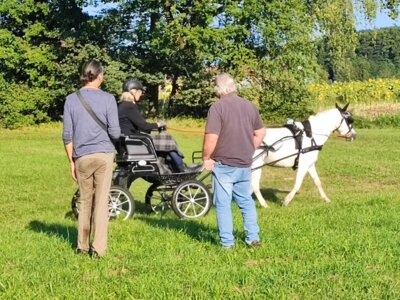 Foto des Albums: Fahrertag 2023