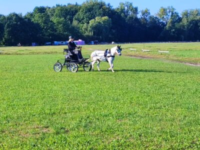 Foto des Albums: Fahrertag 2023