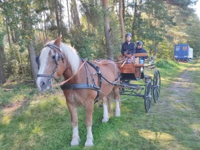 Foto des Albums: Fahrertag 2023