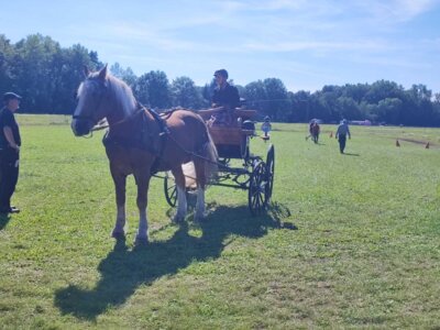 Foto des Albums: Fahrertag 2023