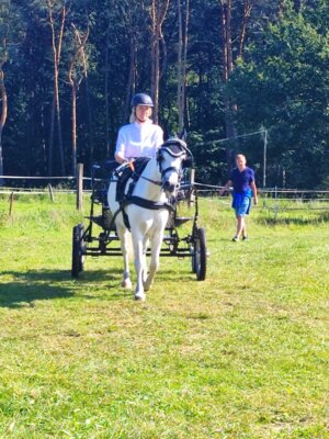 Foto des Albums: Fahrertag 2023