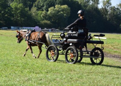 Foto des Albums: Fahrertag 2023