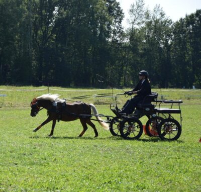 Foto des Albums: Fahrertag 2023