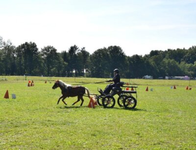 Foto des Albums: Fahrertag 2023