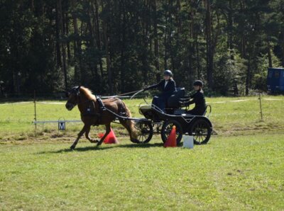 Foto des Albums: Fahrertag 2023
