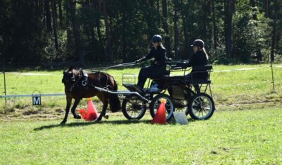 Foto des Albums: Fahrertag 2023