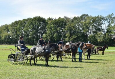 Foto des Albums: Fahrertag 2023