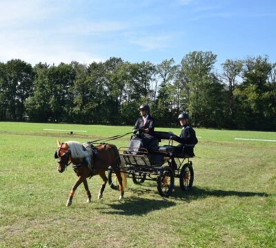 Foto des Albums: Fahrertag 2023