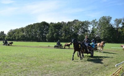 Foto des Albums: Fahrertag 2023