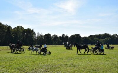 Foto des Albums: Fahrertag 2023