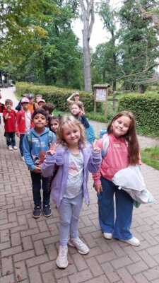 Foto des Albums: Wisentgehege Jahrgang 2