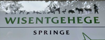 Foto des Albums: Wisentgehege Jahrgang 2