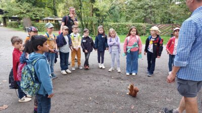 Foto des Albums: Wisentgehege Jahrgang 2