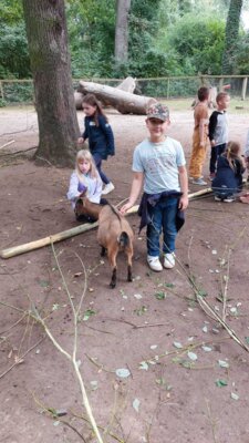 Foto des Albums: Wisentgehege Jahrgang 2