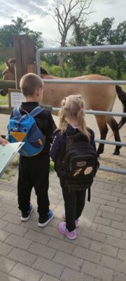 Foto des Albums: Wisentgehege Jahrgang 2