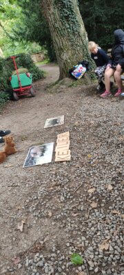 Foto des Albums: Wisentgehege Jahrgang 2