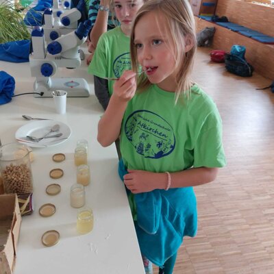 Foto des Albums: Wandertag Klasse 3 (neue Landschaft Ronneburg)