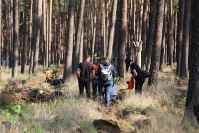 Foto des Albums: Walderlebnis von Wald schafft Zukunft (16.09.2023)