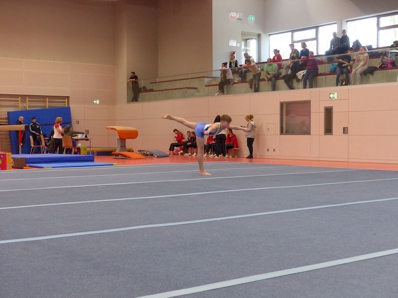 Bild der Galerie