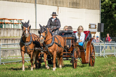 Foto des Albums: Reinstedter Kleine Landpartie 2023 (21. 09. 2023)