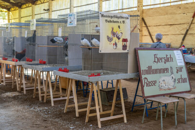 Foto des Albums: Reinstedter Kleine Landpartie 2023 (21. 09. 2023)