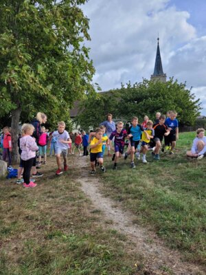 Foto des Albums: Crosslauf unserer Schule in Altkirchen