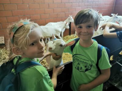 Foto des Albums: Wandertag Klasse 2 Ziegenstall