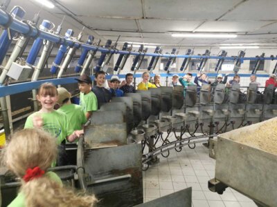 Foto des Albums: Wandertag Klasse 2 Ziegenstall