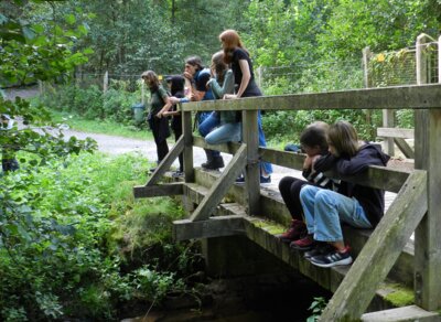 Foto des Albums: Schullandheim Walldürn