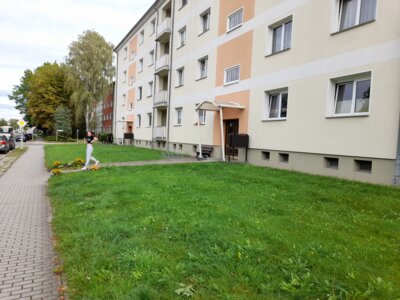 Foto des Albums: Sonnenblumenaktion 